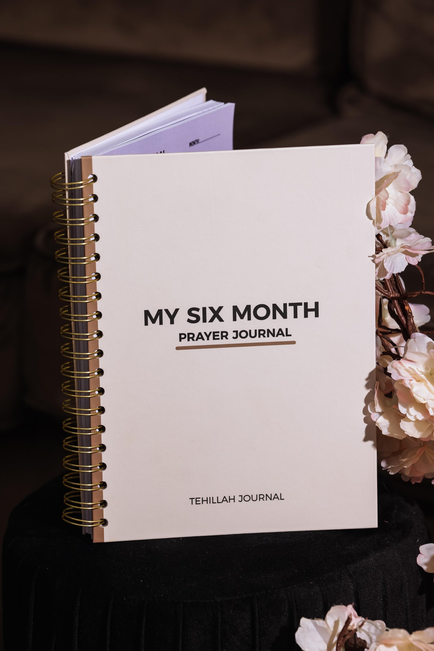 My six month prayer journal